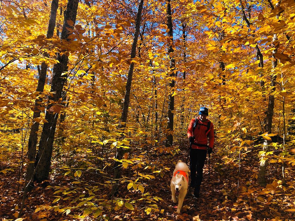 Dave de Vinck enjoying the fall colors and recreation opportunities in the Adirondacks of northeastern New York, on October…