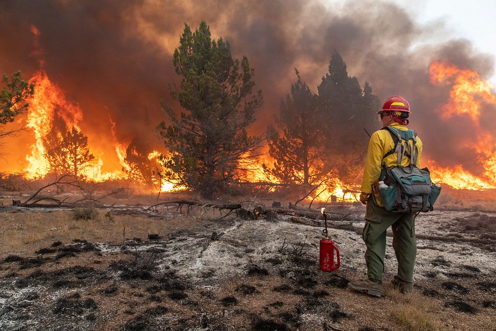 Trout Springs Rx Fire. Firefighters using drip torches to ignite slash piles. (DOI/Neal Herbert). Original public domain…