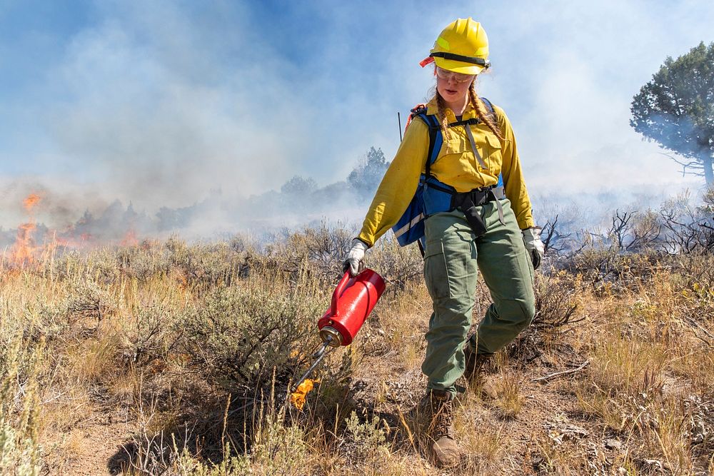 Trout Springs Rx Fire. Youth Conservation Corps hand crew member igniting fuels near a control line. (DOI/Neal Herbert).…