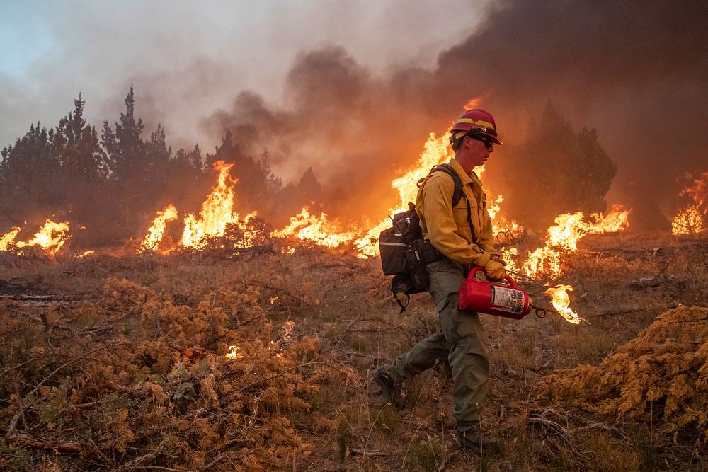 Trout Springs Rx Fire. Firefighters using drip torches to ignite slash piles. (DOI/Neal Herbert). Original public domain…