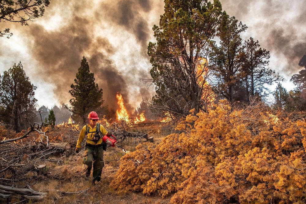 Trout Springs Rx Fire. Firefighters using drip torches to ignite slash piles. (DOI/Neal Herbert). Original public domain…