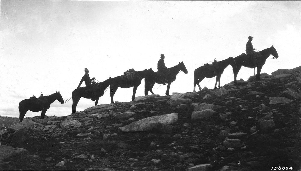 Rangers riding horses on the hill