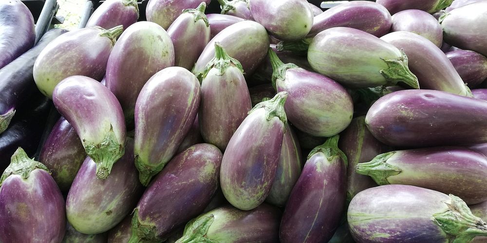 brinja or eggplant