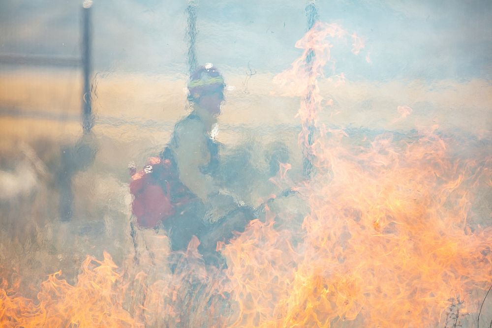 Cinnabar Basin prescribed burn project by Jacob W. Frank. Original public domain image from Flickr