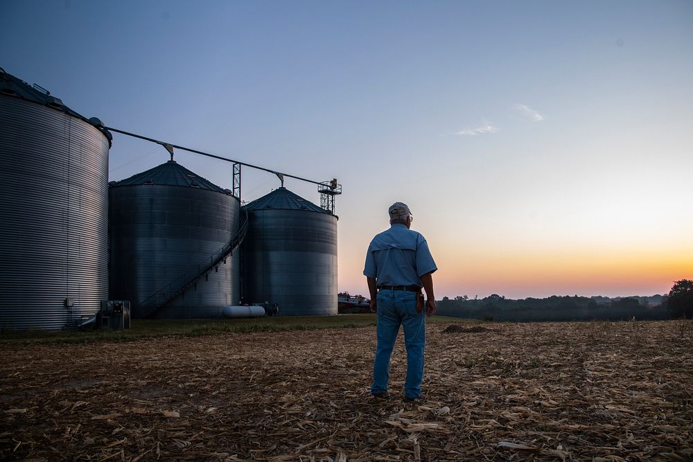 Norwood Farms owners and producers Don (seen) and son Grant Norwood work with U.S. Department of Agriculture (USDA) Farm…