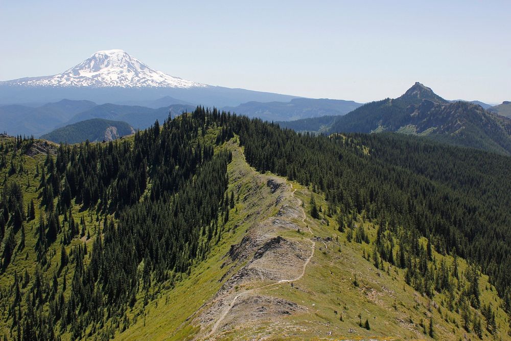Juniper Ridge Trail (261) and Mount Adams, looking southeast on the Gifford Pinchot National Forest. Photo by Matthew Tharp.…