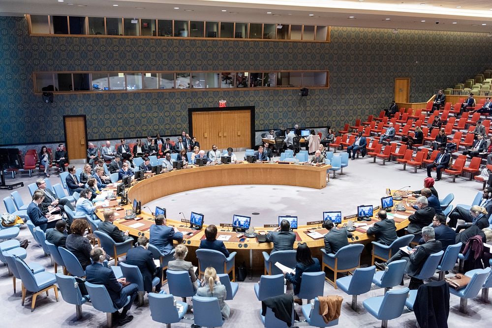 UN Security Council holds meeting on Somalia - 21 November 2019