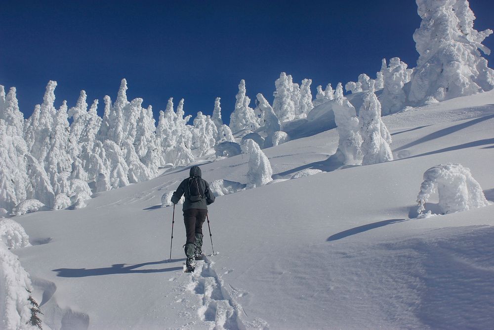 Snowshoeing towards the summit of Maiden Peak on the Willamette National Forest. Photo by Matthew Tharp. Original public…