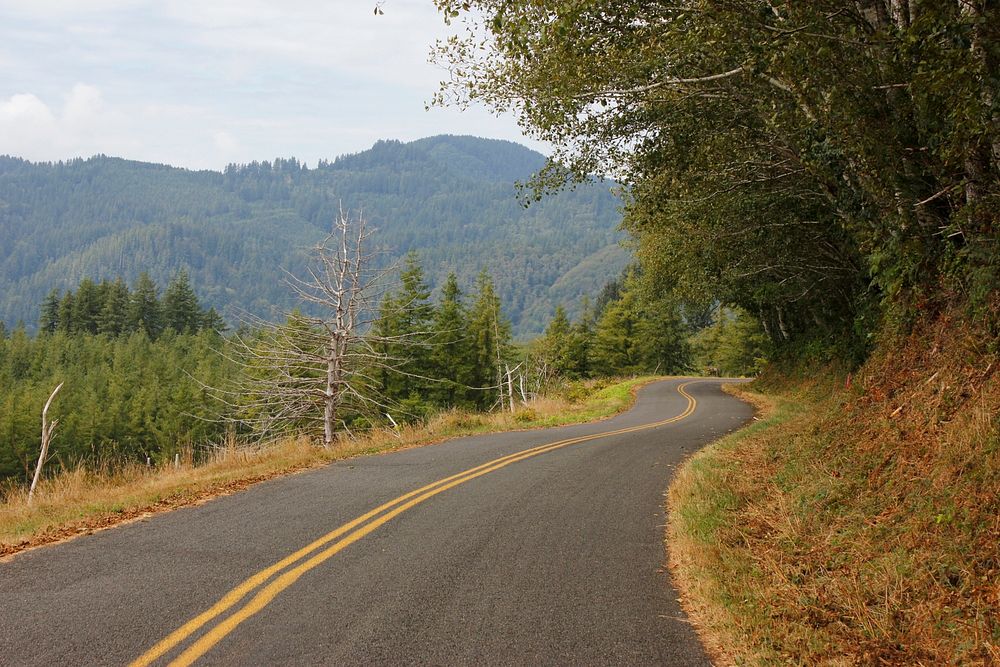 Mount Hebo Road on the Siuslaw National Forest. Photo by Matthew Tharp. Original public domain image from Flickr