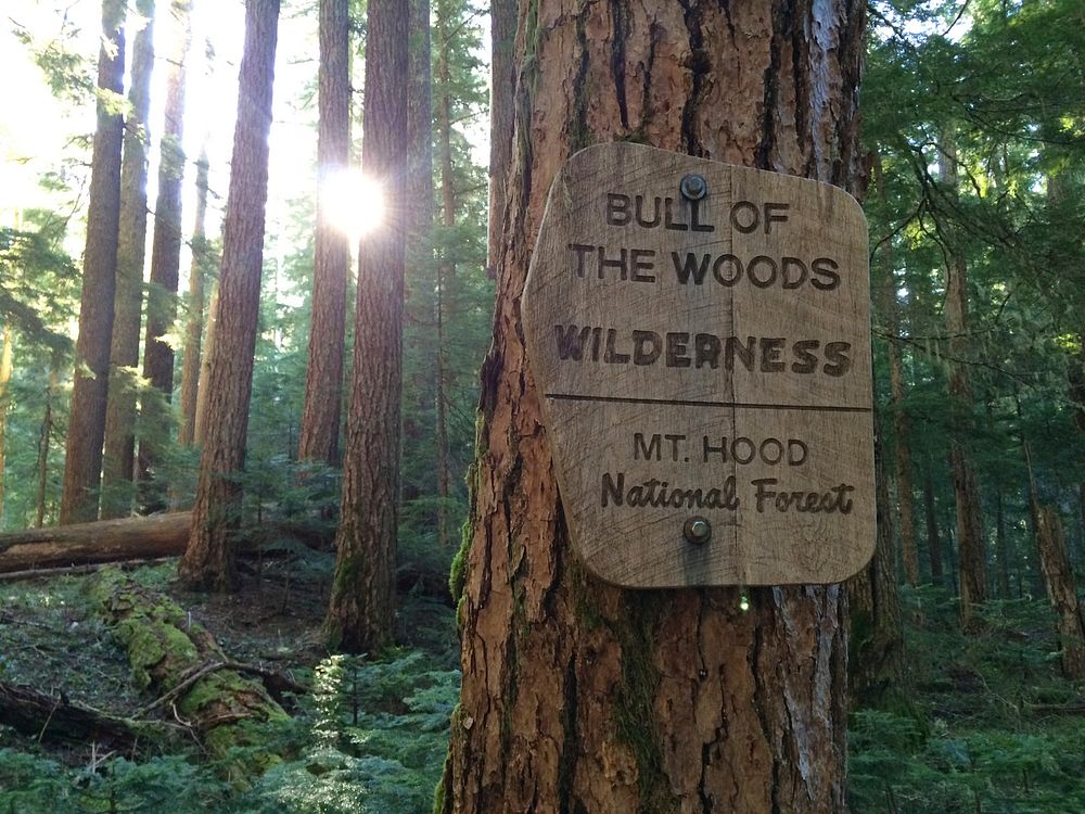 Bull of the Woods Wilderness sign on the Mt. Hood National Forest. Photo by Matthew Tharp. Original public domain image from…