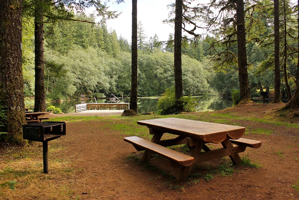 Picnic area at Hebo Lake Campground on the Siuslaw National Forest. Photo by Matthew Tharp. Original public domain image…