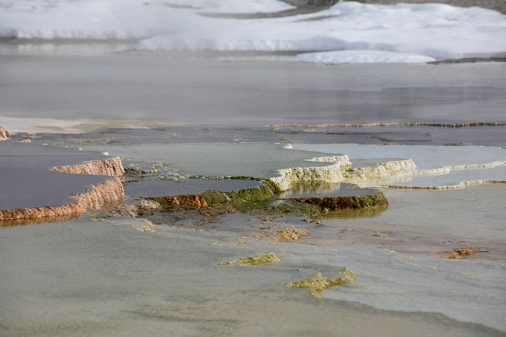 Mammoth Hot Springs Terracesby Diane Renkin. Original public domain image from Flickr