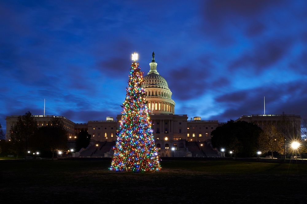 2019 Capitol Christmas Tree with Lights