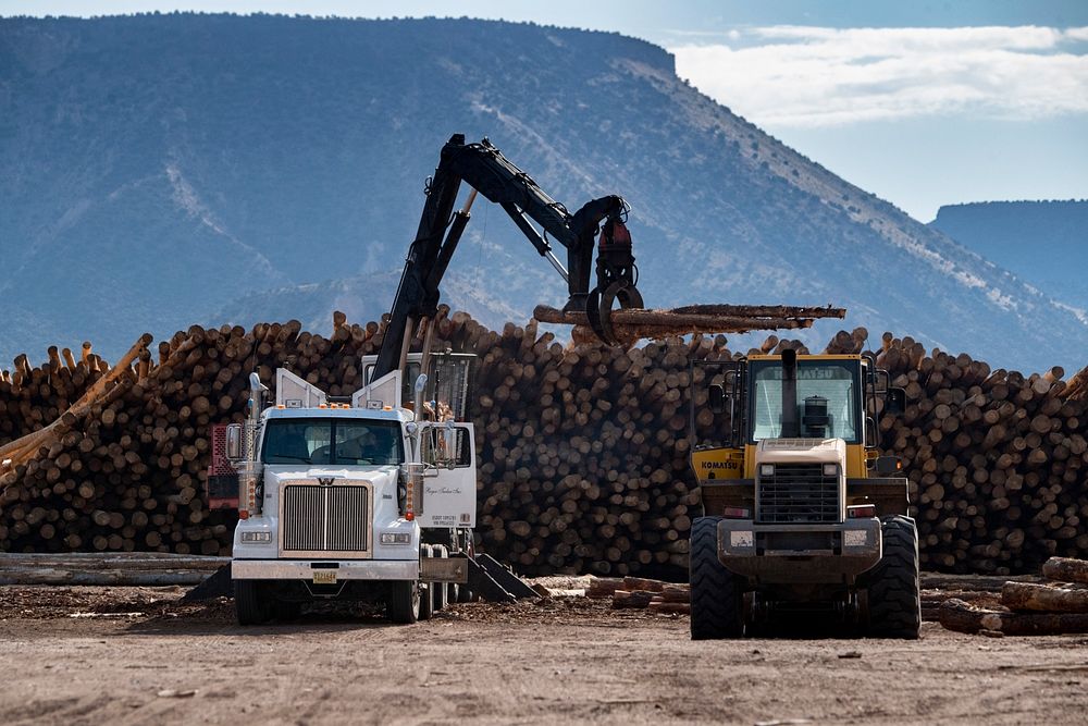 Acceptable loads of timber from restoration sites are offloaded at Walatowa Timber Industries (WTI) mill, where the U.S.…