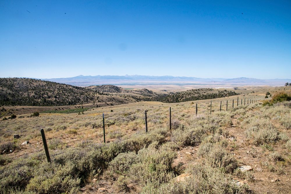 Rangeland near Sauerbier Ranches LLC, where producer Dan Doornbos (vest) and son-in-law ranch operator Ryan Ellis, were able…