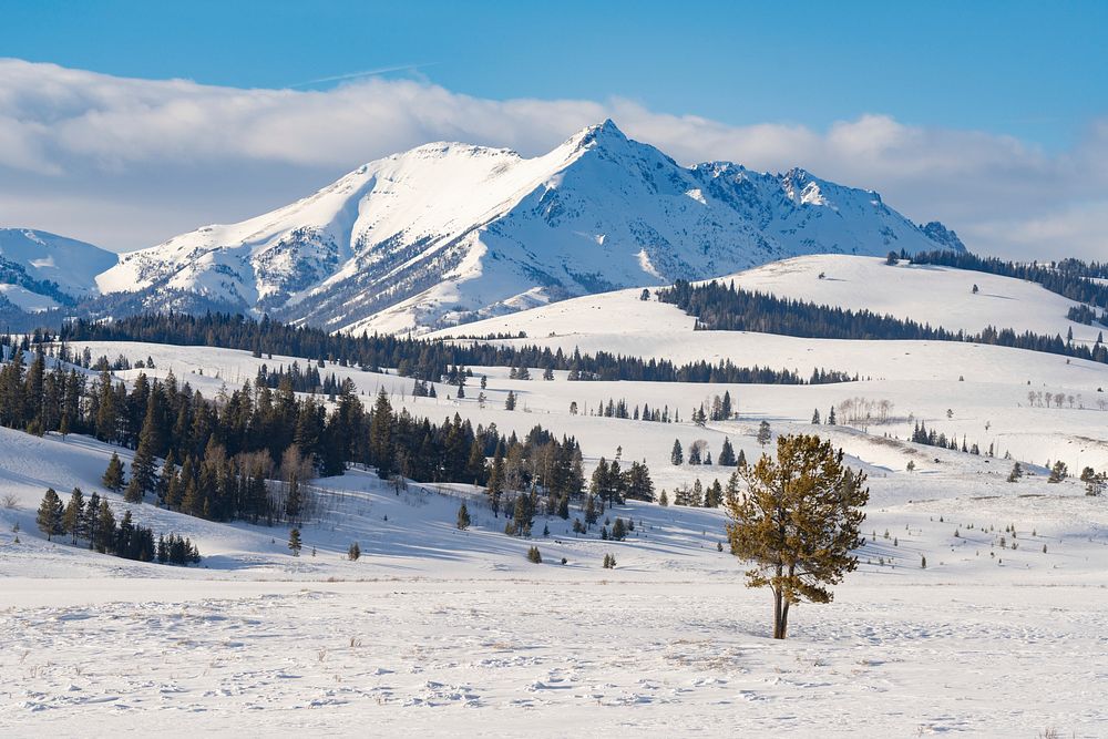 Electric Peak rises above Swan Lake Flat. Original public domain image from Flickr