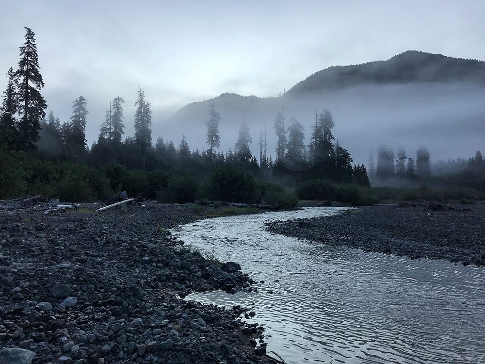 Olympic Misty Wynoochee River. Photo by Tharon Snuggs, USFS photo. Original public domain image from Flickr