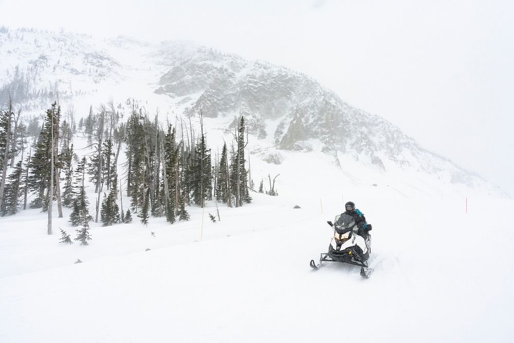 Snowmobiler riding eastbound over Sylvan Pass during a snow storm by Jacob W. Frank. Original public domain image from Flickr