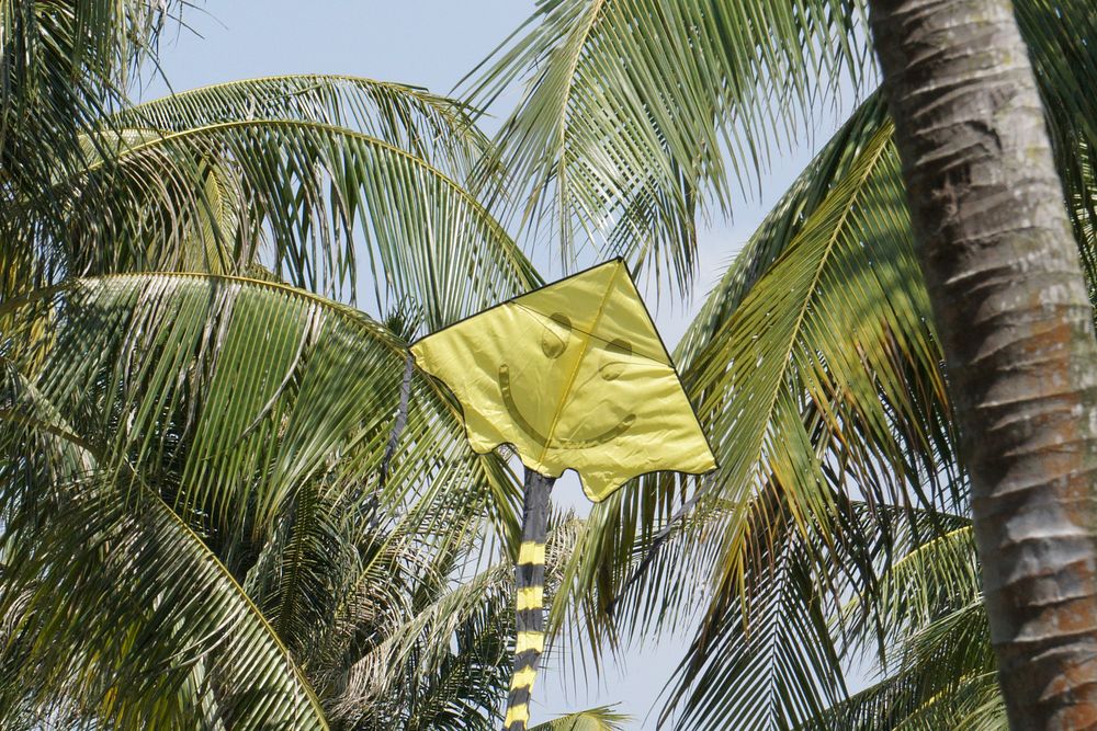 Pasir Ris park and smiling kite. Free public domain CC0 photo.
