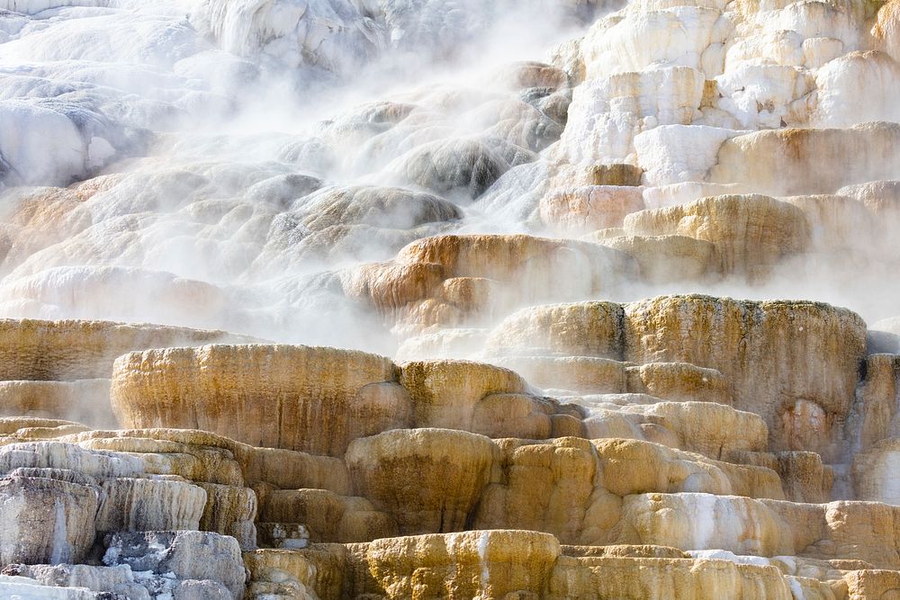 Steam rising from Palete Spring on a cool spring morning by Jacob W. Frank. Original public domain image from Flickr