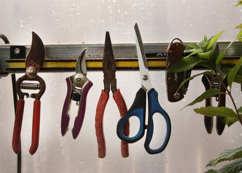 Gardening Shears and Tools. Free public domain CC0 photo.