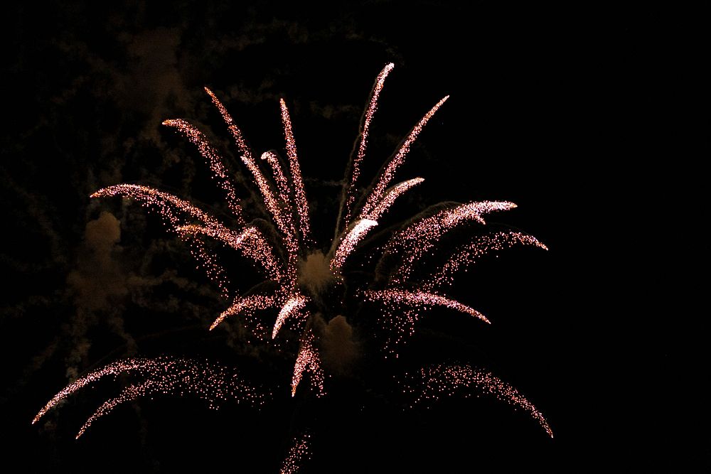 Fireworks on the 4th of July.