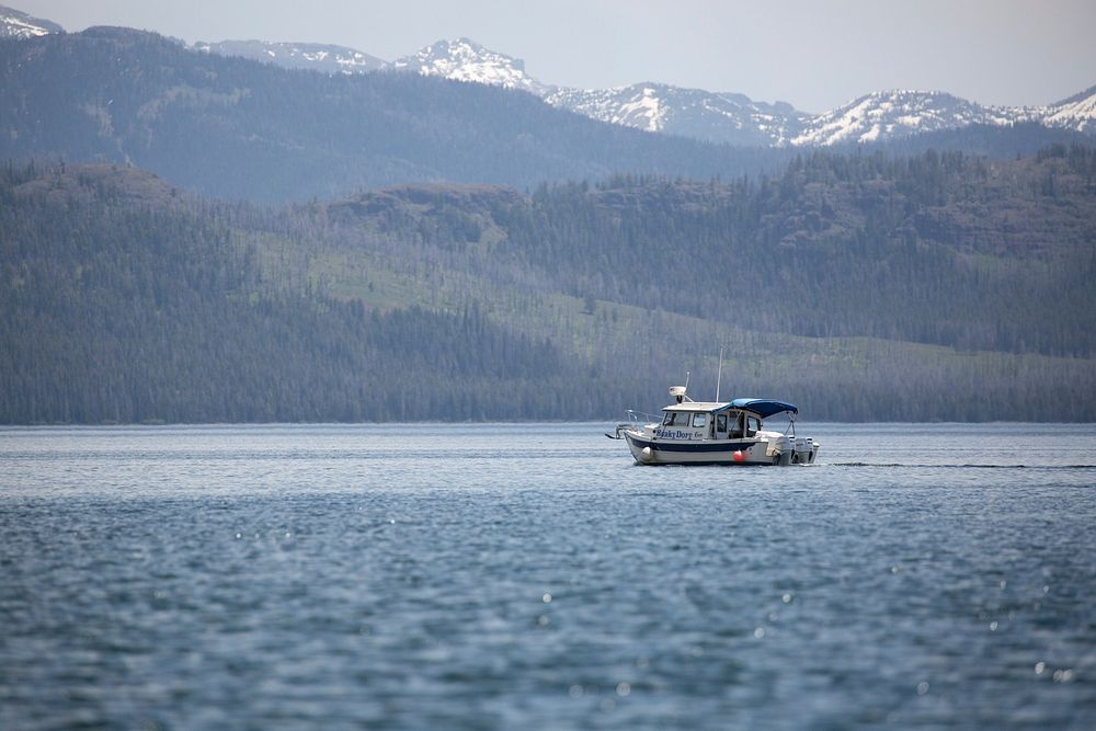 Motorboat on Yellowstone Lakeby Diane Renkin. Original public domain image from Flickr