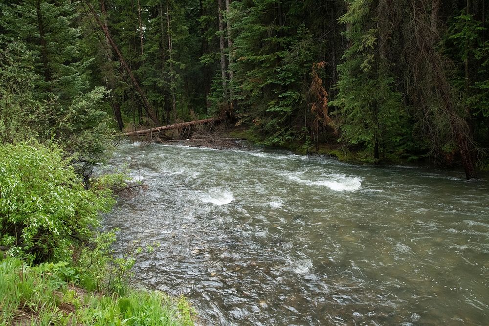 The West Fork Clear Creek water flows across the access road to the U.S. Department of Agriculture (USDA) Forest Service…