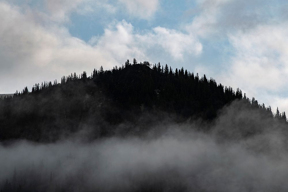 Pine trees and mountain clouds in the U.S. Department of Agriculture (USDA) Forest Service (FS) Arapaho and Roosevelt…