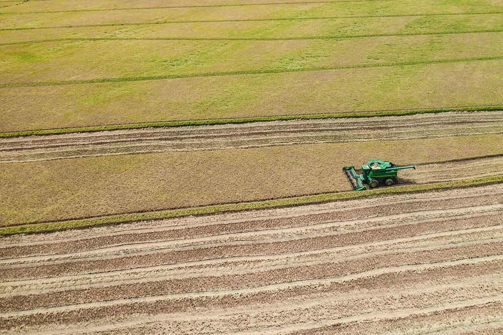 Aerial view of the rice harvest at 3S Ranch, near El Campo, Texas, on July 24, 2020.