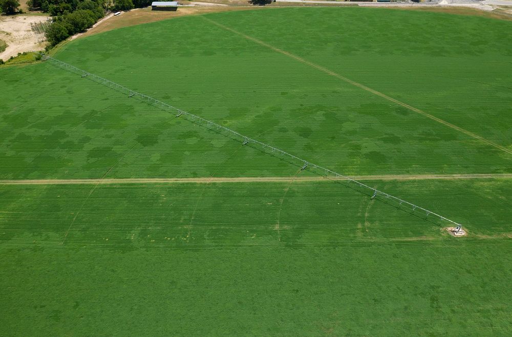 Aerial view of pivot sprinkler irrigation (SDI) on a hayfield.