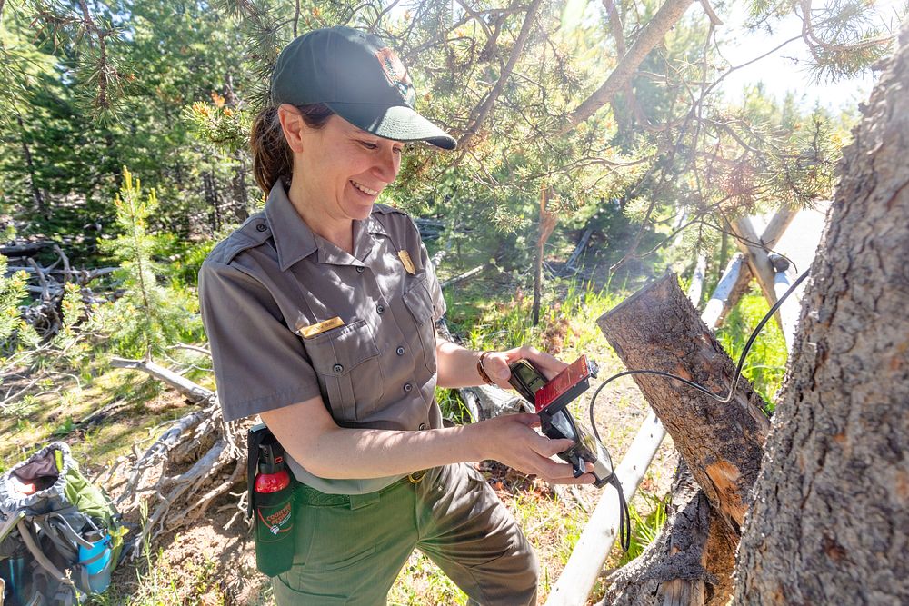 Outdoor recreation planner, Jenni Burr, downloads data from a trail counter by Jacob W. Frank. Original public domain image…