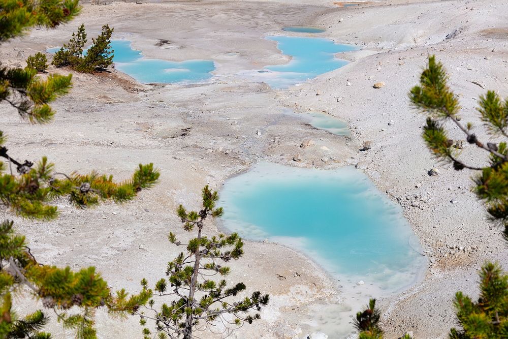 Colorful pools of Norris Geyser Basin by Jacob W. Frank. Original public domain image from Flickr