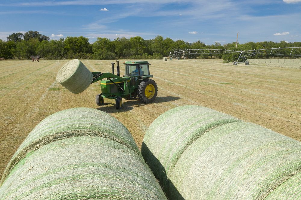 Hay harvest at Ernie Schirmer Farms in Macdona, TX, just outside of San Antonio, TX, on Aug 16, 2020. USDA Photo by Lance…