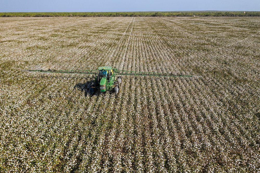 Schirmer Farms (Batesville) Operations Manager Brandon Schirmer, sprays defoliant on one of the fields at his father's multi…