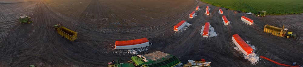 Aerial panorama of the Ernie Schirmer Farms cotton harvest where family, farmers and workers come together, in Batesville…