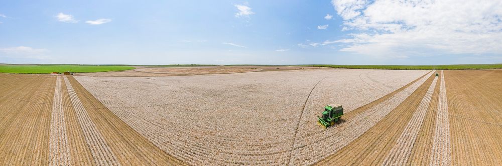 Aerial panorama of the Ernie Schirmer Farms cotton harvest where family, farmers and workers come together, in Batesville…