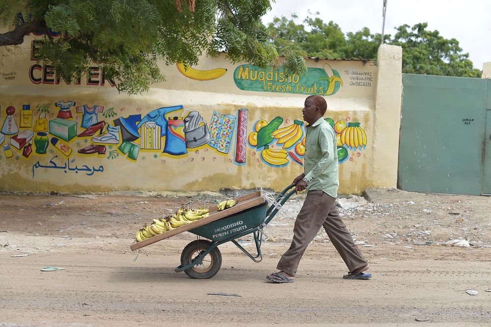 A fruit vendor delivering bananas in Wadajir district on 29 June 2015.
