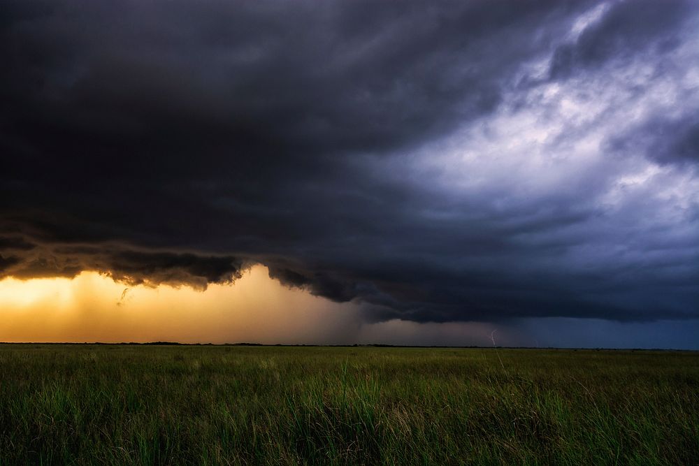Rainstorm over a Sawgrass Prairie. Original public domain image from Flickr