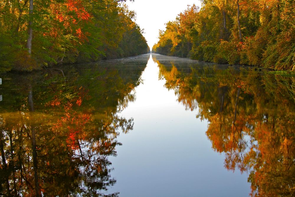 Great Dismal Swamp National Wildlife Refuge: Peaks October 22 – October 28