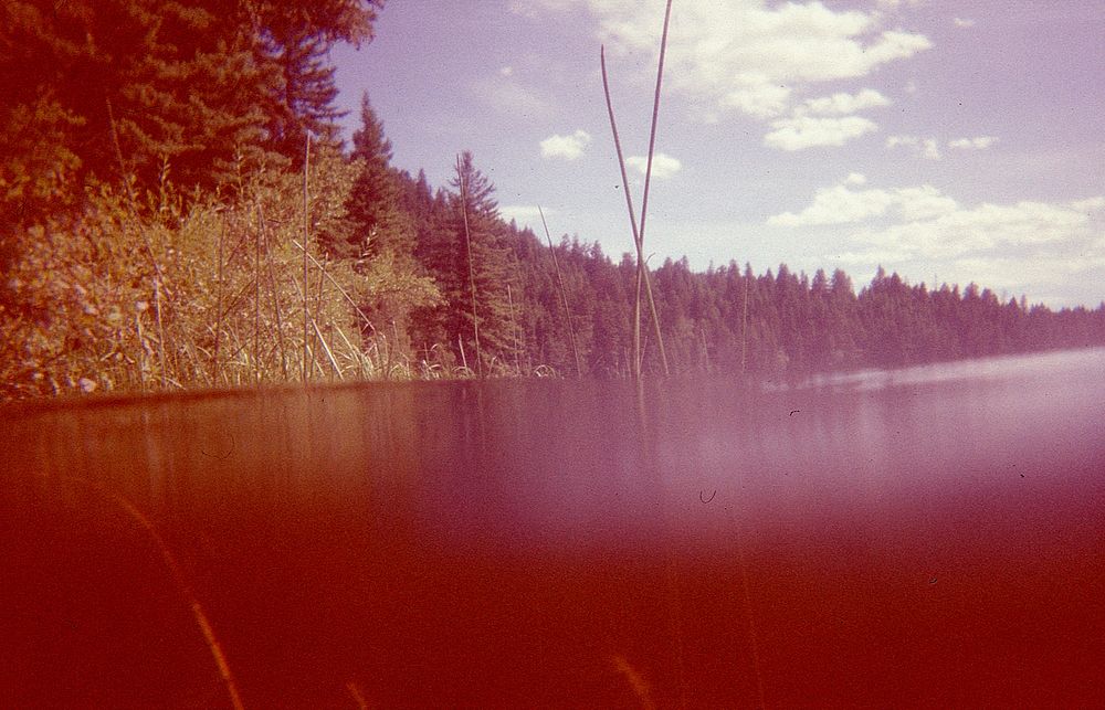 Deadman Lake, B.C. Original public domain image from Flickr