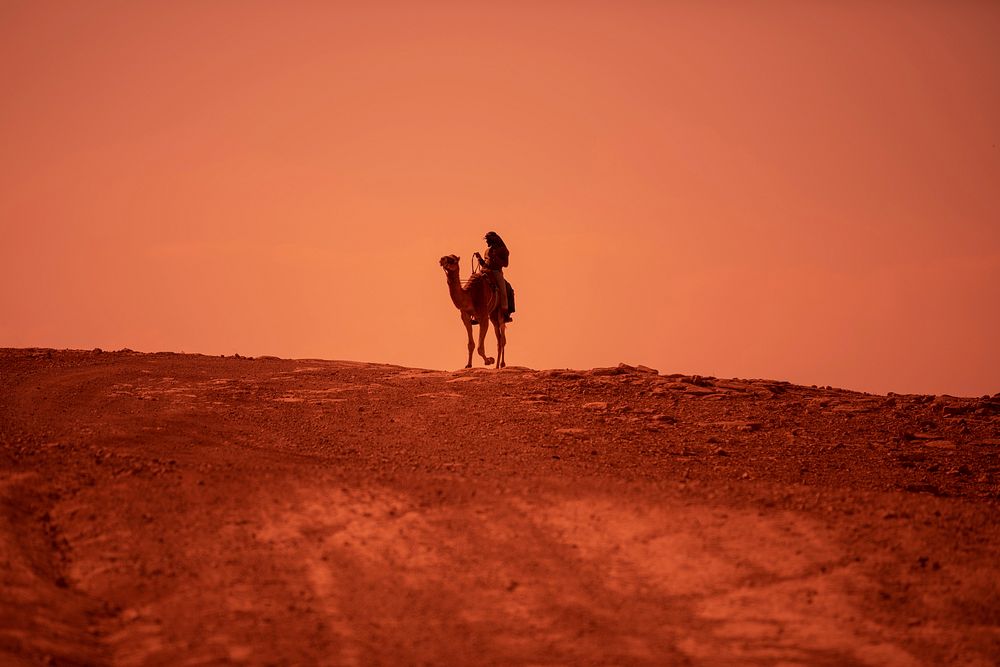 Riding camel in desert, animal photography. Free public domain CC0 image.