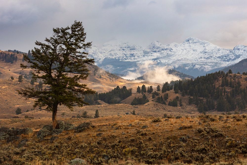 Cutoff Mountain from Lamar Valley. Original public domain image from Flickr