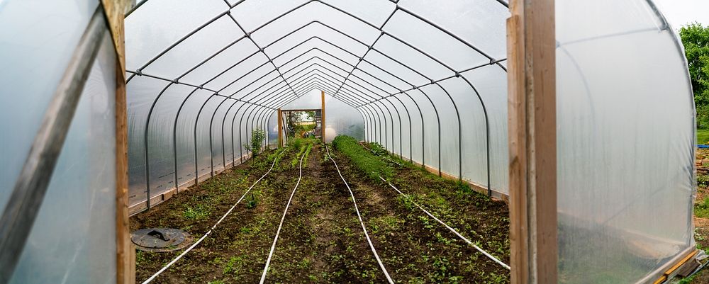 High Tunnel Farming on Fleshman Farm. Installed in May 2020 through financial assistance of NRCS, EQIP (Environmental…