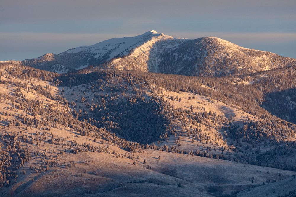 First light on Sheep Mountain after a fall snowstorm. Original public domain image from Flickr