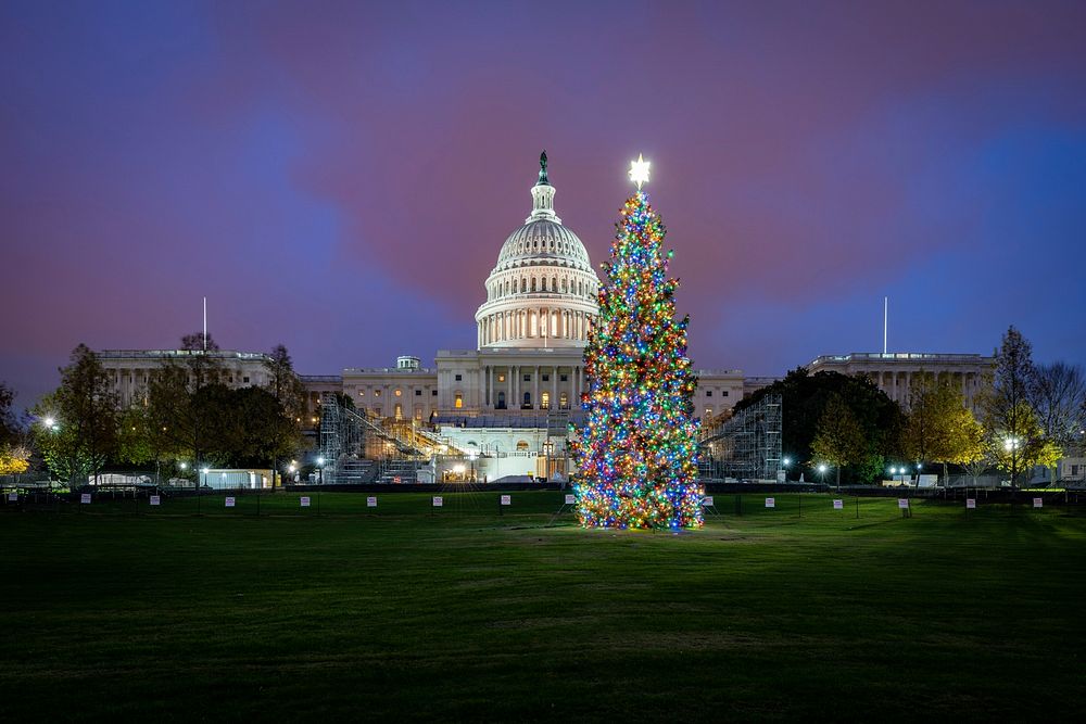 2020 Capitol Christmas Tree with Lights
