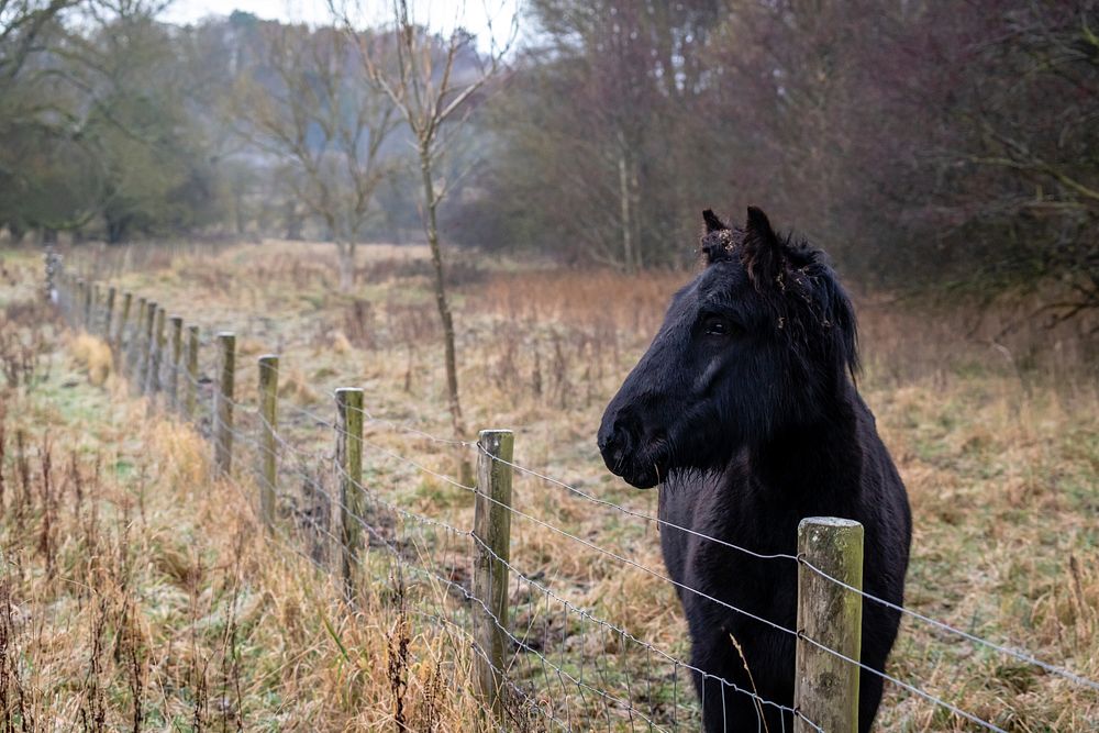 Original public domain image from Flickr