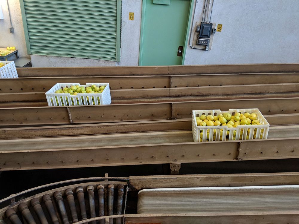 Field bins of lemons entering a packinghouse in California.USDA photo by Angela McMellen Brannigan. Original public domain…