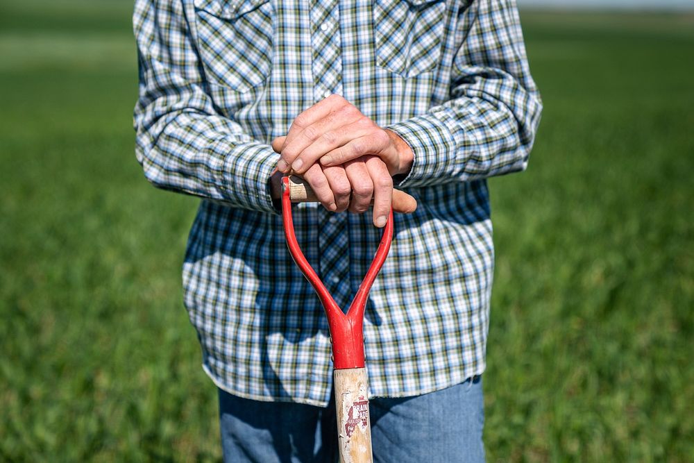 Brock Linker of Linker Farms. Judith Basin County, Montana. June 2020. Original public domain image from Flickr