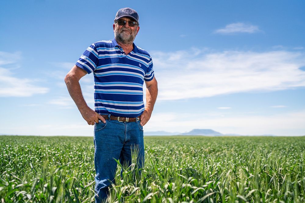 Dave Linker, fourth generation wheat farmer of Linker Farms.